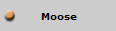 Moose